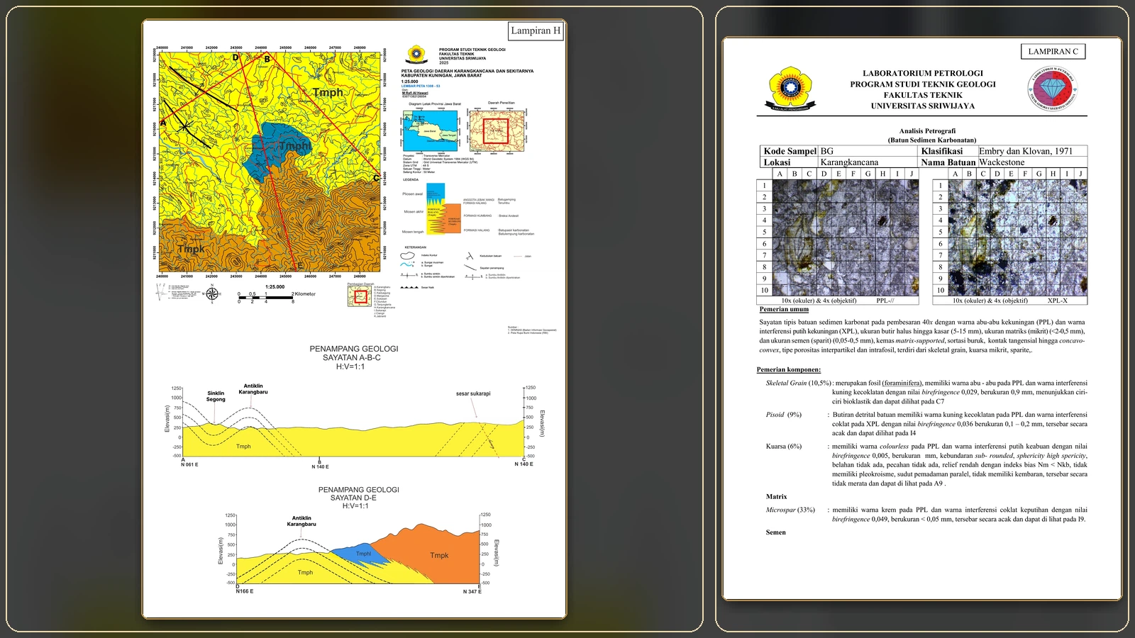 Mapping & Petrography Appendices cover