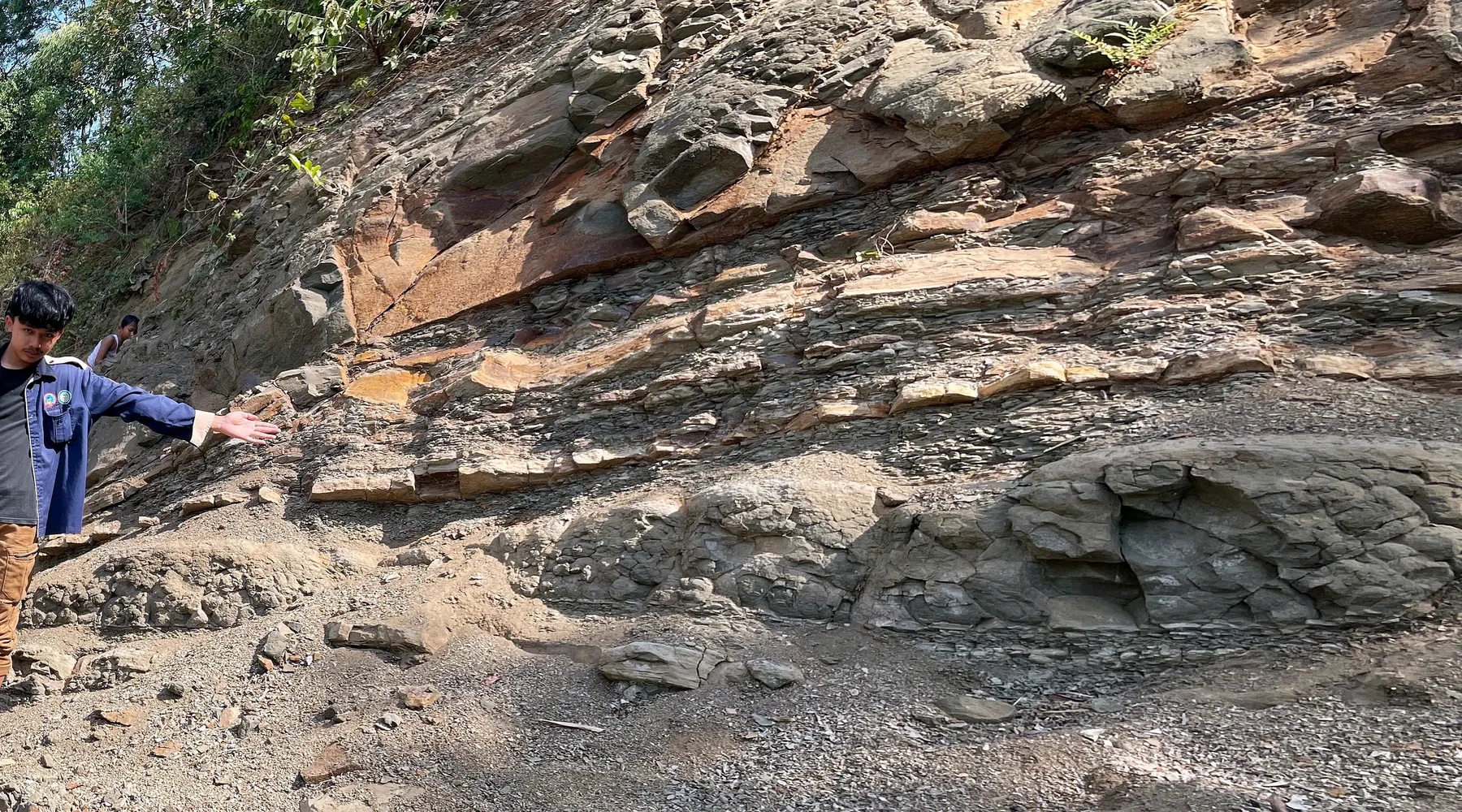 Halang Formation — Sandstone–Claystone Interbeds cover