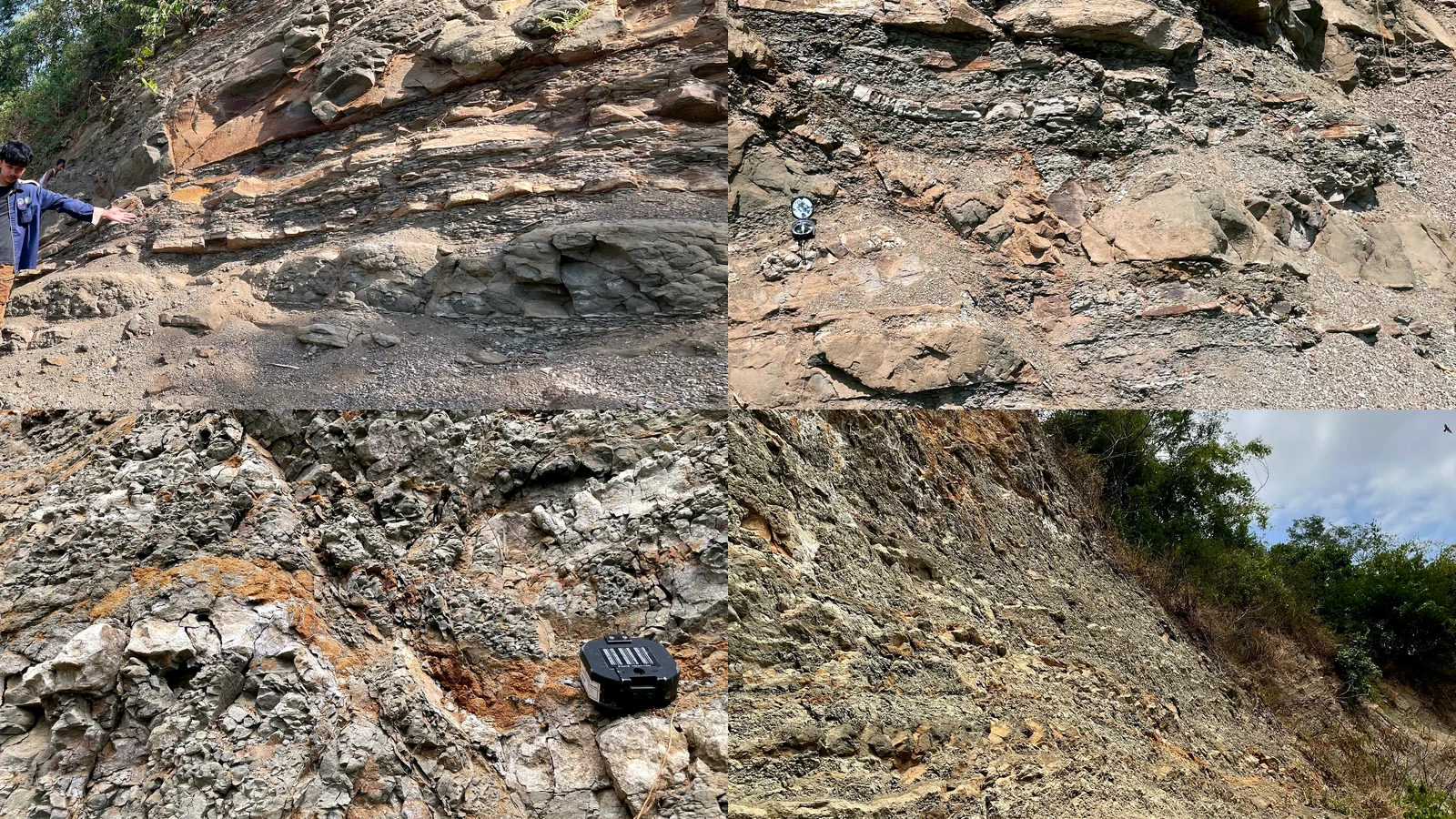 Rock Outcrop cover