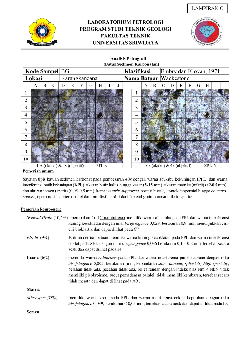 Petrography — Sheet 09