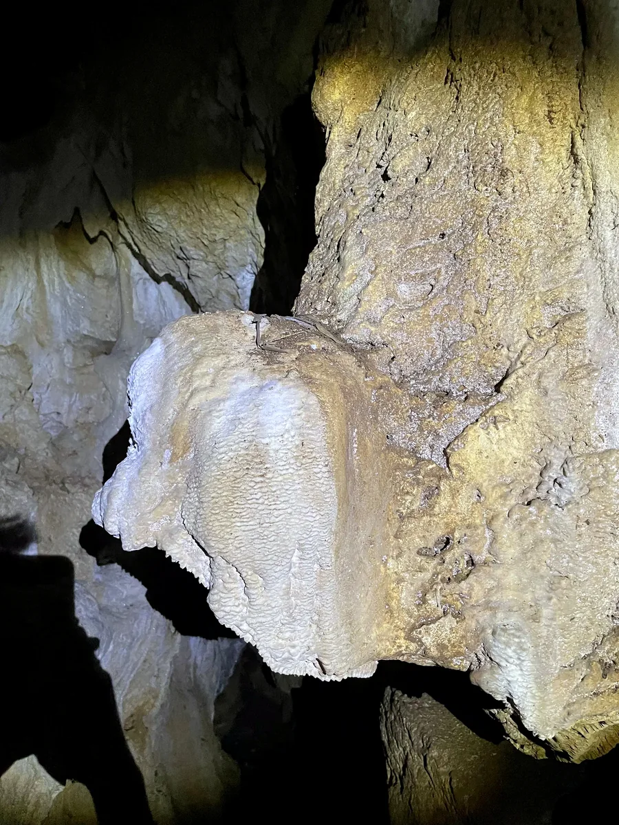 Isolated pale calcite projection