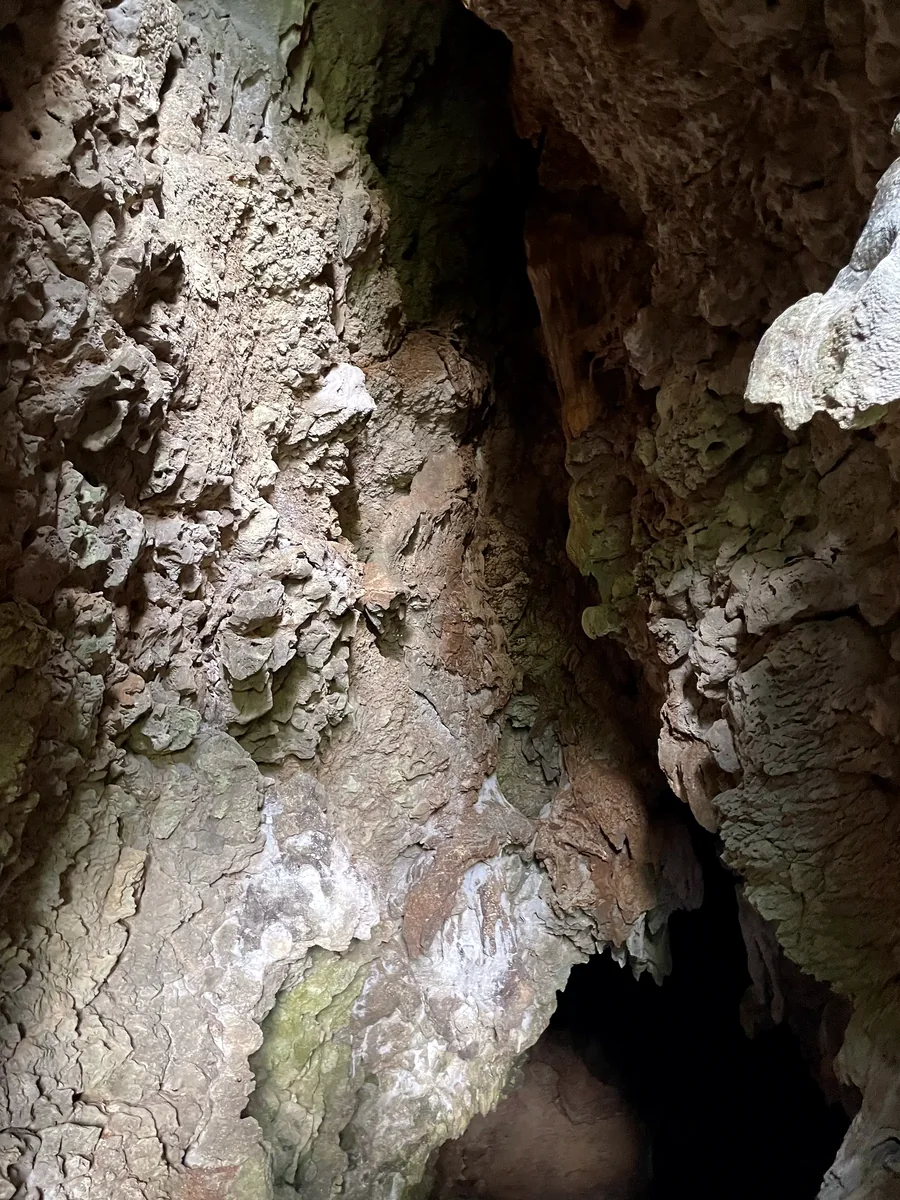 Solutionally sculpted cave wall
