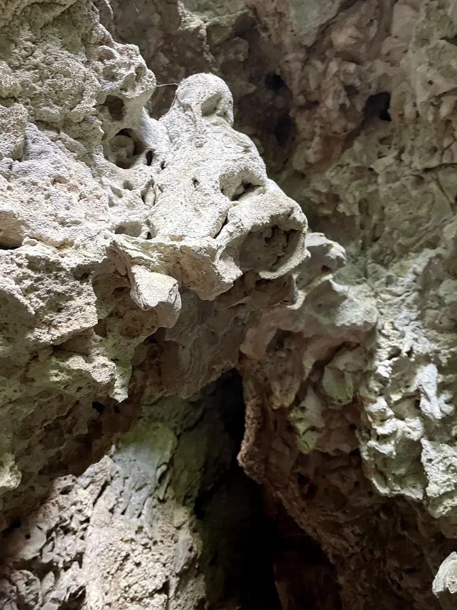 Irregular cave-wall deposit and dissolution texture