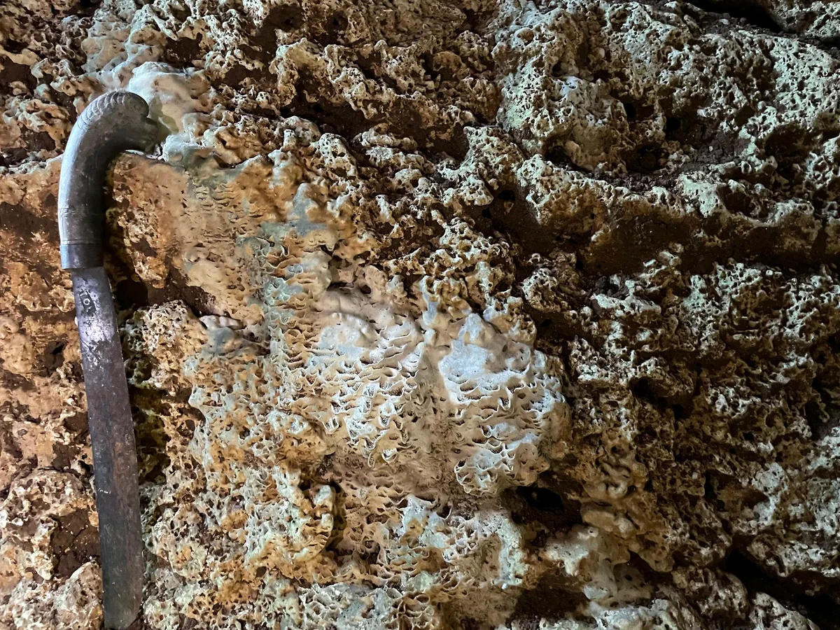 Close view of granular cave-wall coating with hammer scale