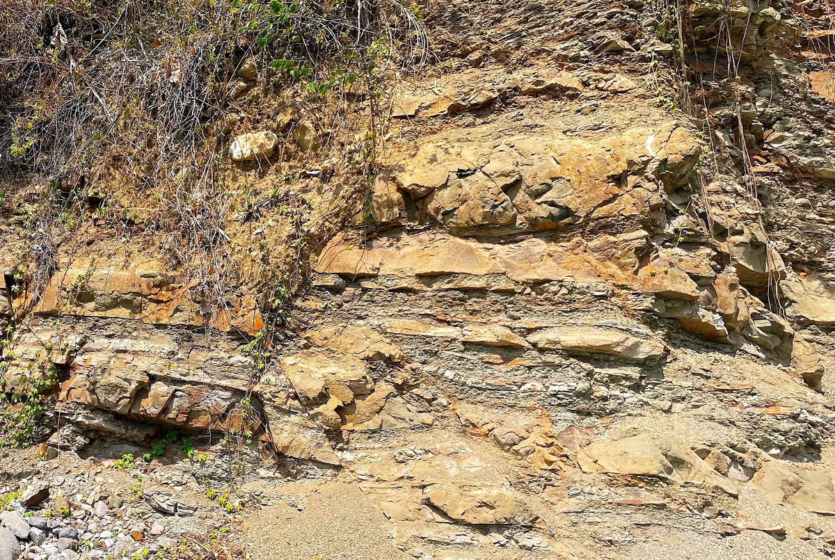 Fractured Halang interbeds in the outer fault-damage zone