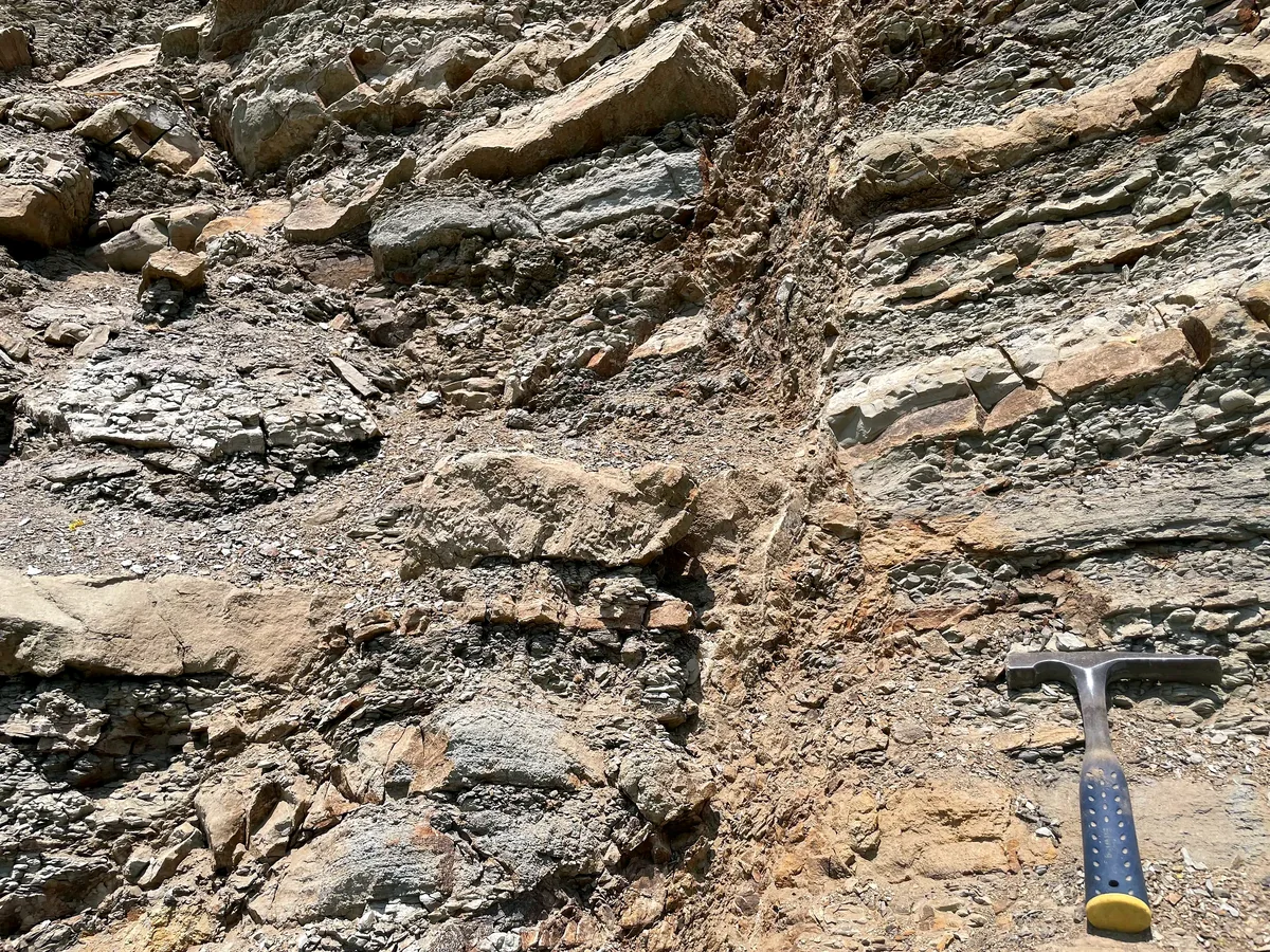 Narrow structural strand cutting Halang interbeds