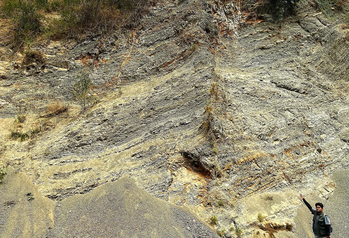 Outcrop-scale folded and disrupted bedding