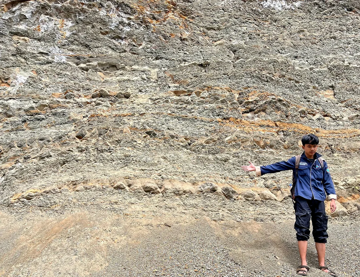 Person-scale thin-bedded Halang succession
