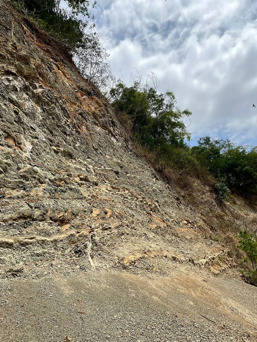Pervasively fractured Halang damage zone