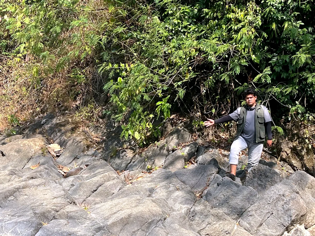 Steeply inclined Halang sandstone–claystone interbeds