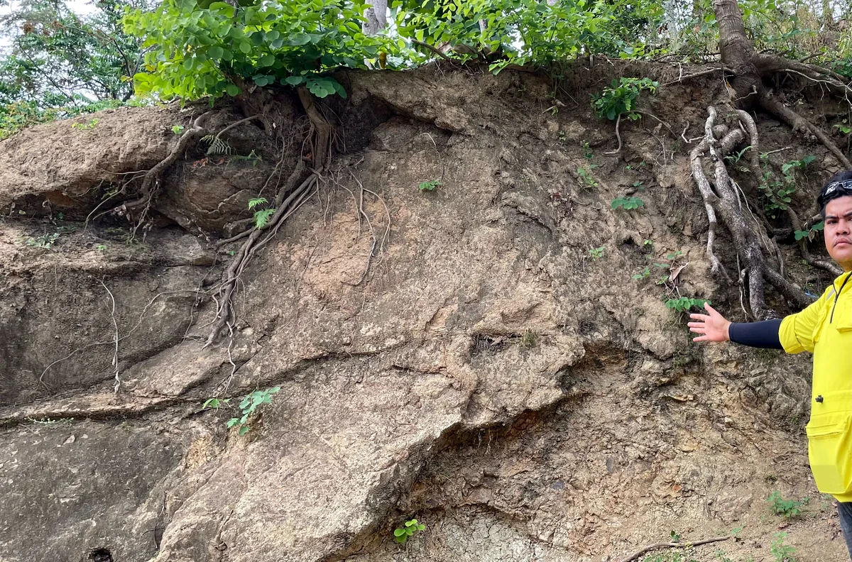 Weathered and fractured Halang sandstone bed