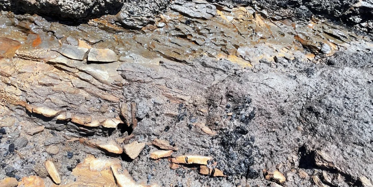 Interbedded sandstone and claystone