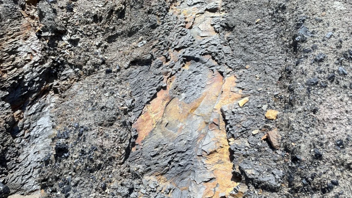 Claystone outcrop