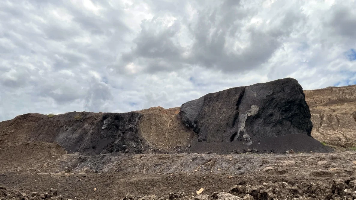Coal outcrop — Seam D