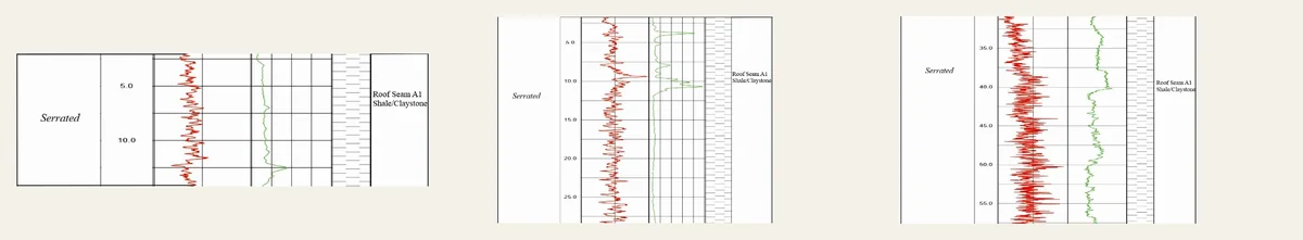 Electrofacies — roof of Seam A1