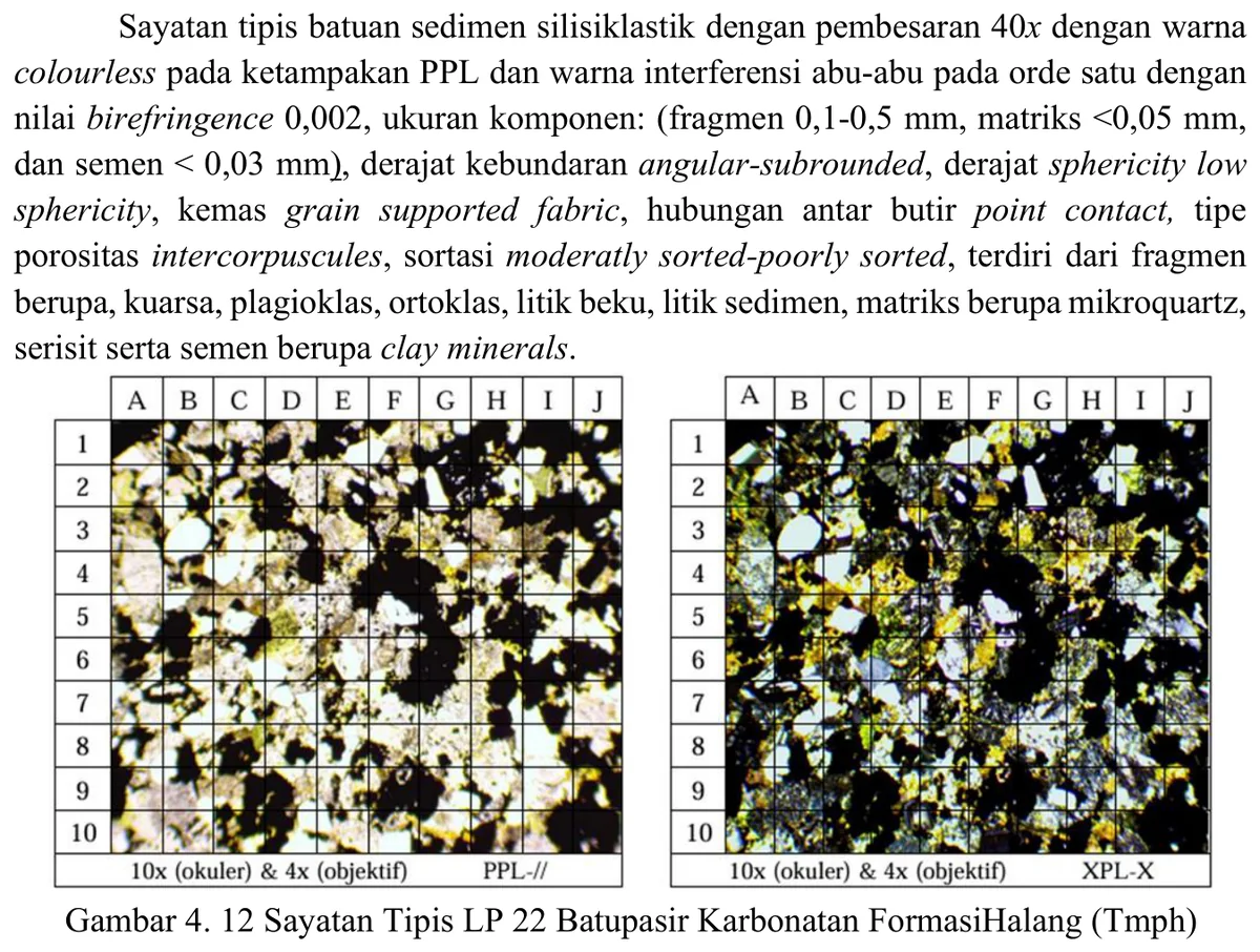 LP22 sandstone thin section
