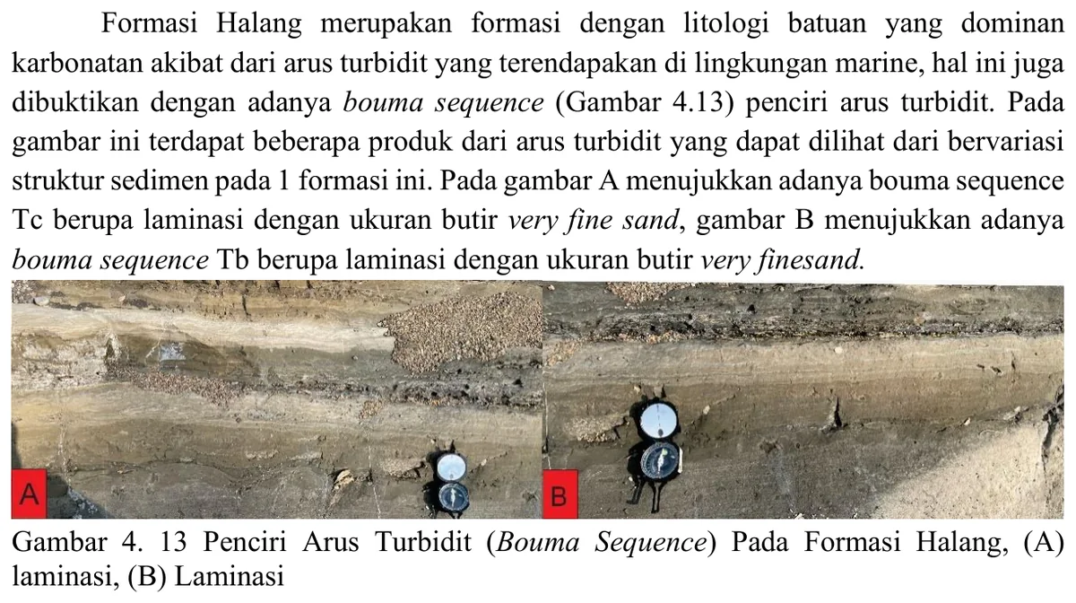 Parallel-laminated sandstone beds used as turbidite evidence