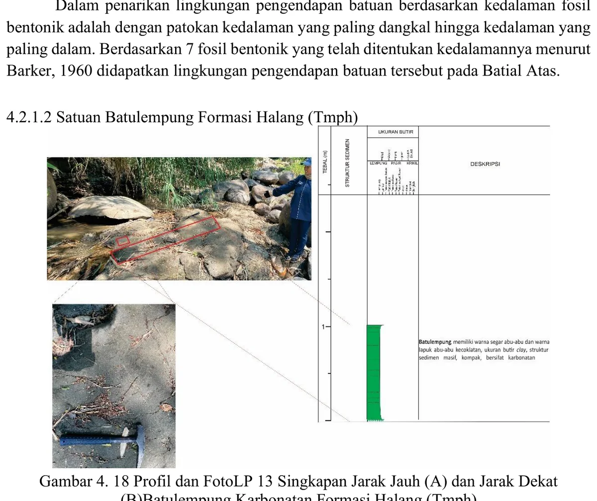 LP13 calcareous claystone profile and outcrop