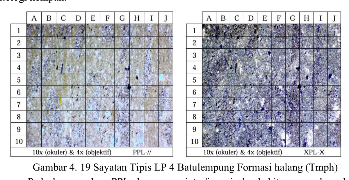 LP4 clay-rich thin section