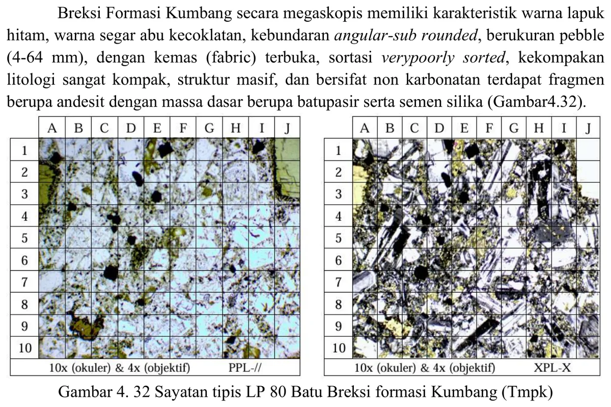 Andesitic clast thin section from LP80 breccia