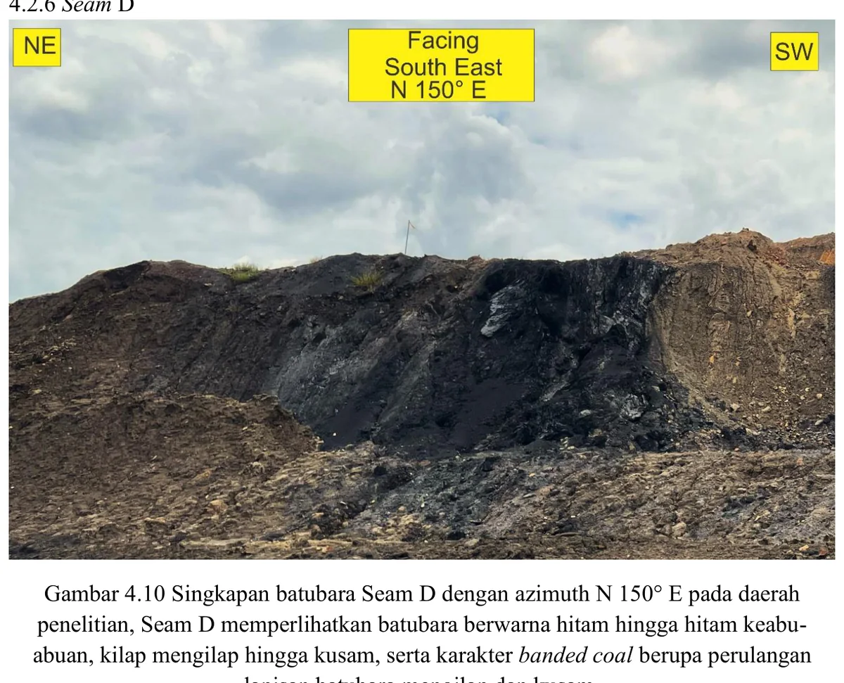 Coal outcrop — Seam D