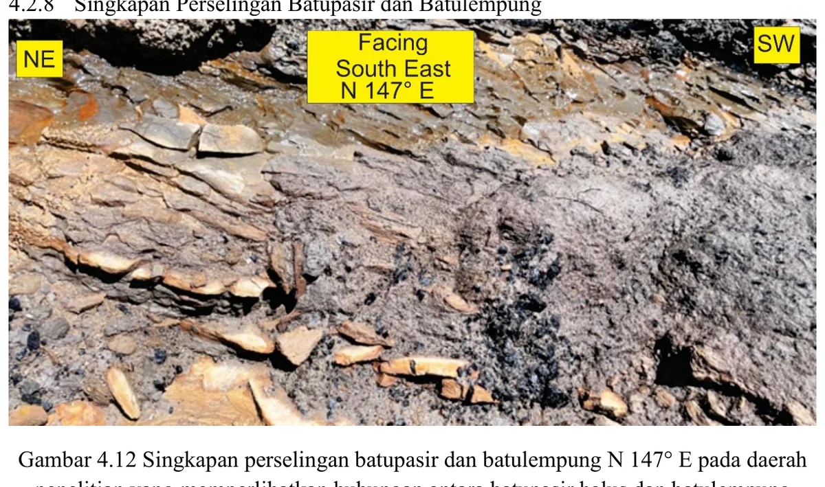 Interbedded sandstone and claystone outcrop