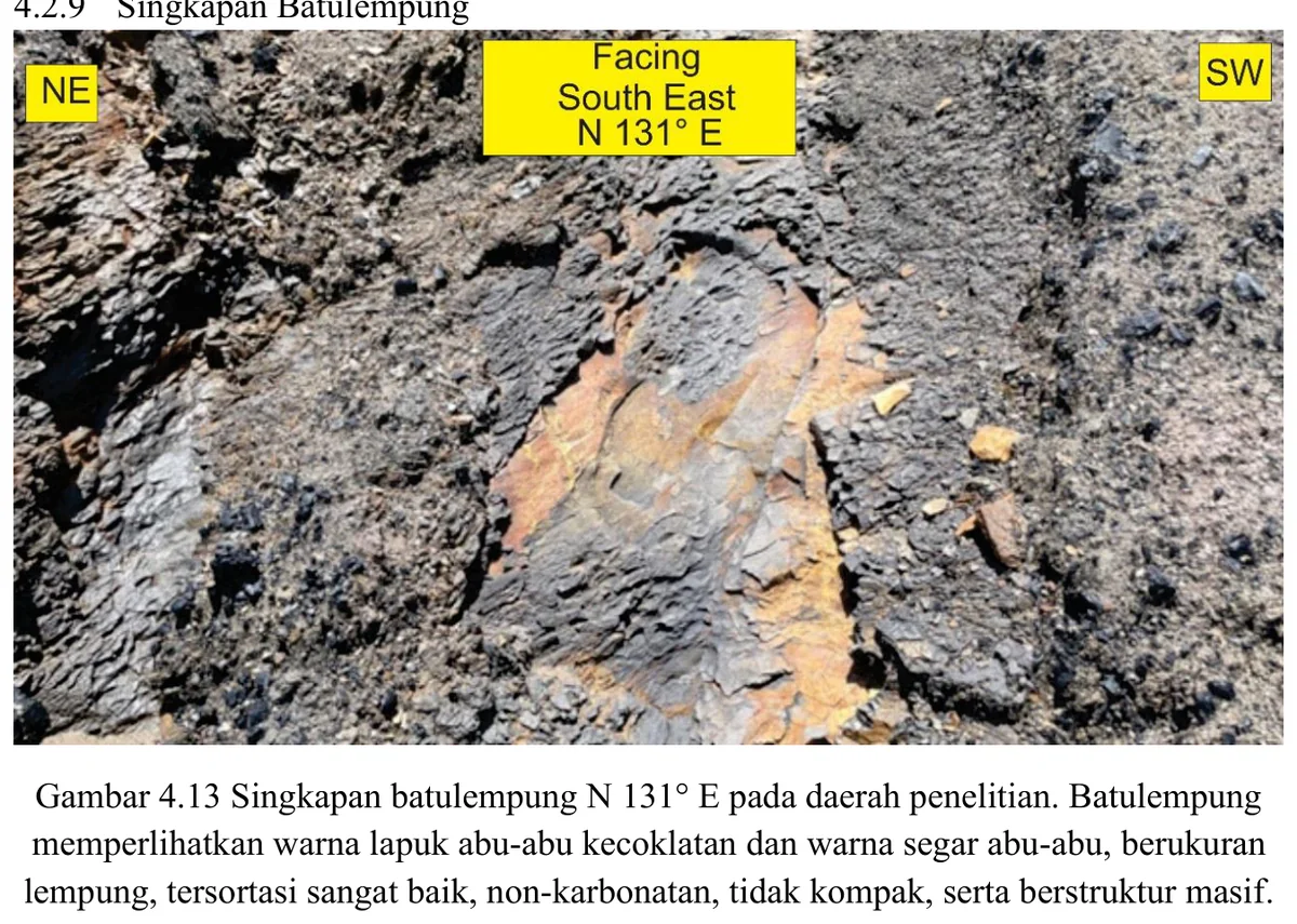 Claystone outcrop