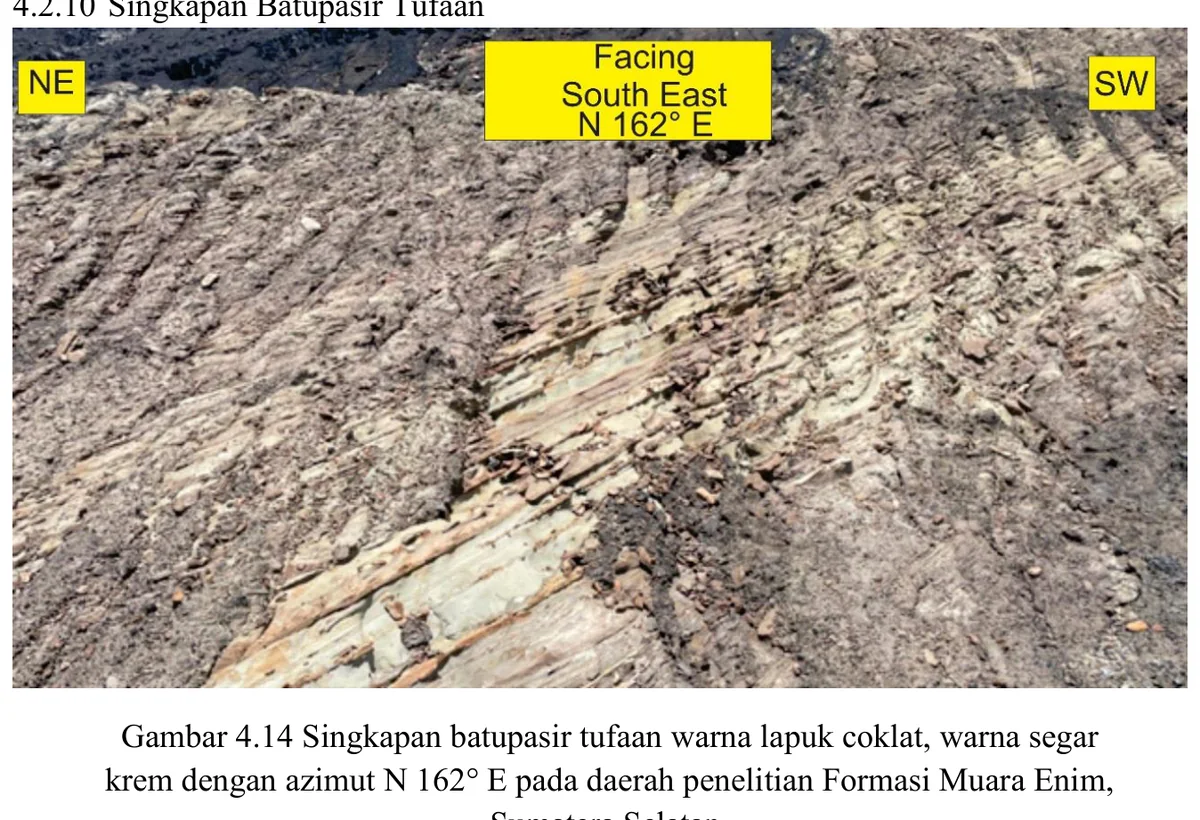 Tuffaceous sandstone outcrop