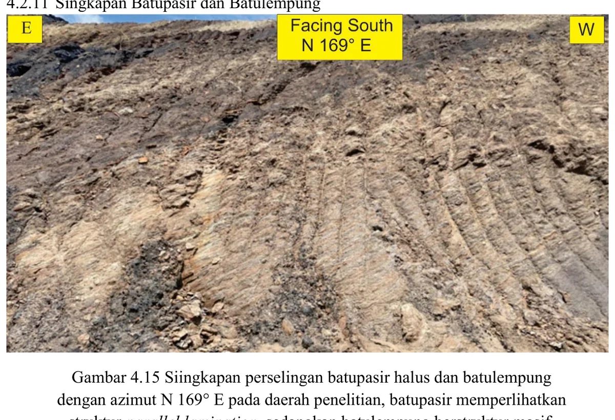 Interbedded fine sandstone and claystone
