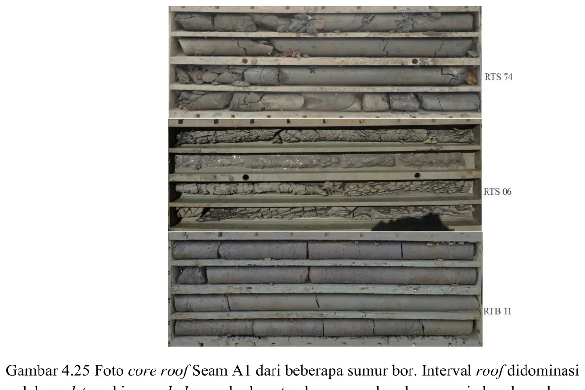 Core photographs — roof of Seam A1