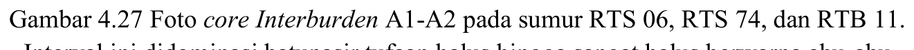 Core photographs — A1–A2 interburden