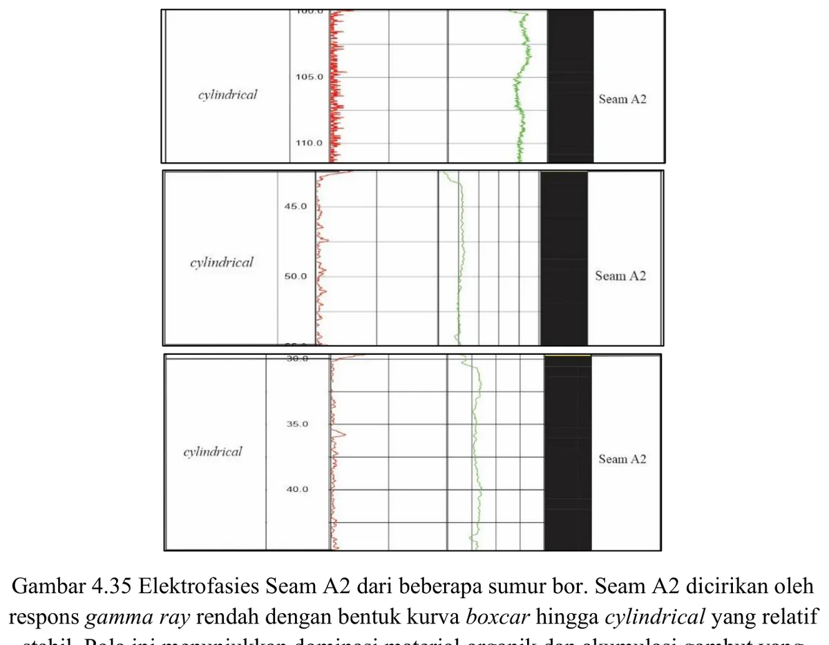 Electrofacies — Seam A2