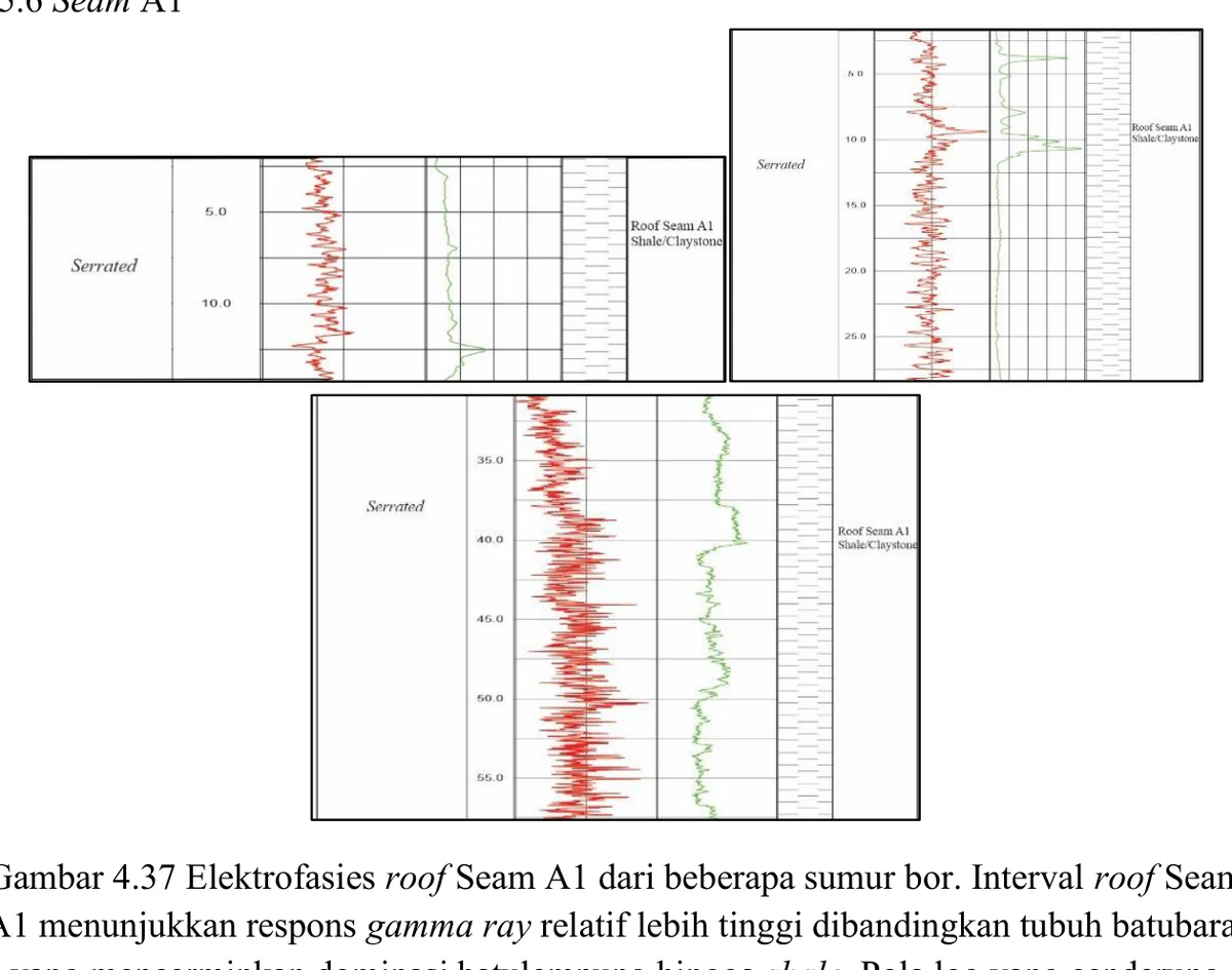 Electrofacies — roof of Seam A1