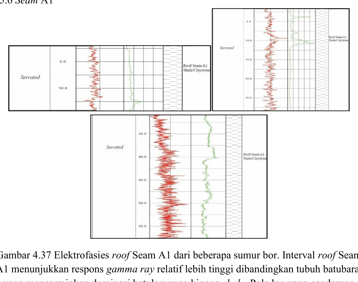 Electrofacies — roof of Seam A1